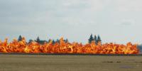DSC_6192.jpg