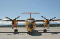 comox-buffalo-DSC_6921.jpg