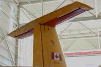 comox-buffalo-tail-DSC_6921.jpg