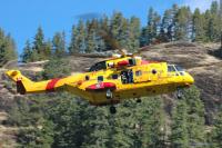 comox-cormorant-flyby-Hardy-DSC_6816.jpg