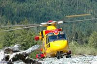 comox-cormorant-landed-DSC_6843.jpg