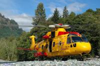 comox-cormorant-landed3-DSC_6776.jpg