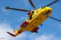 comox-cormorant-liftingof3-DSC_6777.jpg