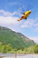 comox-cormorant-riverbed-roll-00530017.jpg