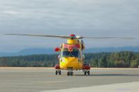 comox-cormorant3-DSC_6921.jpg