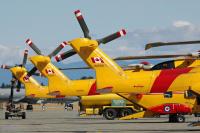 comox-cormorants-tailrotor-check--DSC_6843.jpg