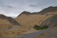 Ladakh-DSC_0369.jpg