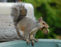 DSC_0005.jpg