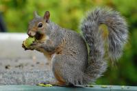 DSC_0009.jpg