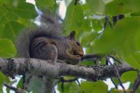 DSC_0013-tuned.jpg