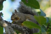DSC_0015.jpg