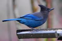 DSC_0022.jpg