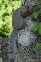 DSC_0031.jpg