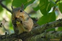 DSC_0038.jpg