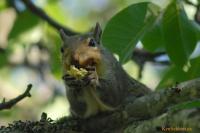 DSC_0039.jpg