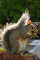 DSC_0045.jpg
