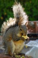 DSC_0046.jpg