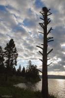 DSC_0049-nicola-lake.jpg