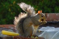 DSC_0049.jpg