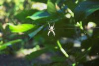 DSC_2060-01.jpg
