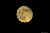 DSC_2161-01.jpg