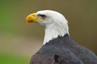 _DSC5340.jpg