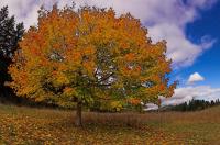 postcardsDSC_2293-01.JPG