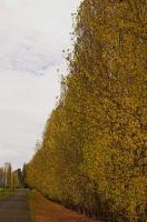 postcardsDSC_2348-01.JPG