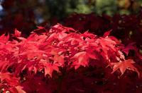 postcardsDSC_2382-01.JPG