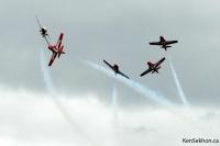 DSC_0232-yxx2008-snowbirds.jpg