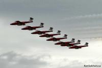 DSC_0276-yxx2008-snowbirds.jpg