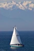 Swiftsure2009_DSC0578-01.jpg