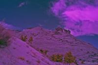 DSC_2979.jpg