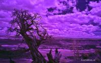 DSC_3002.jpg