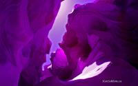 DSC_3411.jpg