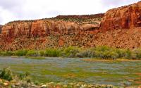_DSC8356.jpg