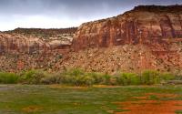_DSC8357.jpg