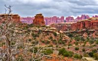 _DSC8401.jpg