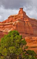 _DSC8459.jpg