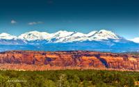 _DSC8517.jpg