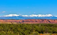 _DSC8521.jpg