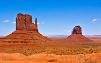 _DSC8542.jpg