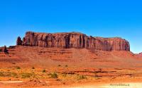 _DSC8543.jpg