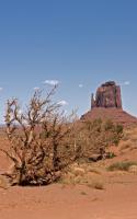 _DSC8553.jpg
