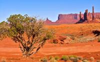 _DSC8588.jpg