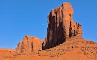 _DSC8616.jpg