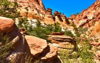 _DSC9049.jpg