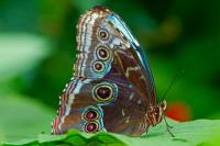 screen_DSC9181.jpg