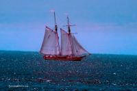 DSC_3612.jpg