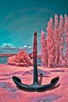 dockyardDSC_3799.jpg